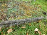 image of grave number 292309